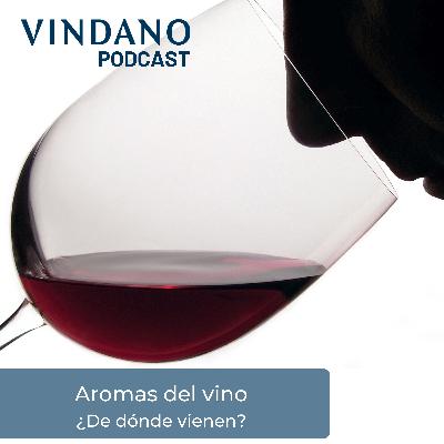 Aromas del vino - ¿De dónde vienen?