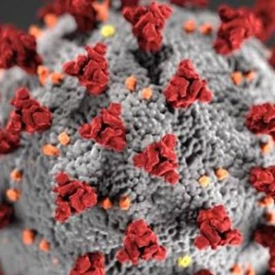 Coronavirus