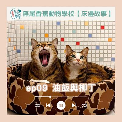 【床邊故事】EP09 油飯和柳丁