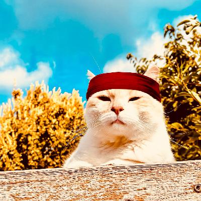 George P. Cosmatos – Teil 1 (1971-1979)