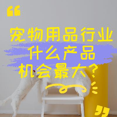 宠物用品行业什么产品机会最大？