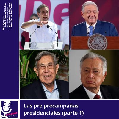 Democracia 101