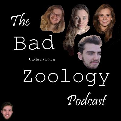 Blue whale milk and invisible polar bears: who has the best animal fact?