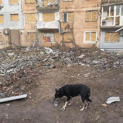 Gabbin’ with Gary!  Interview Julia Vrillaund & Claudia Panzer with Animal Rescue Mariupol PT 1 Gabbin’ with Gary!  Interview Julia Vrillaund & Claudia Panzer with Animal Rescue Mariupol PT 1