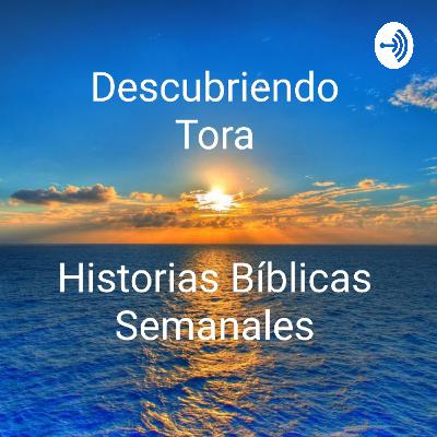 46. "Consecuencia" (Parasha Eikev)