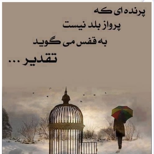 امروز را زندگی کن آینده همین لحظه هست 🤗