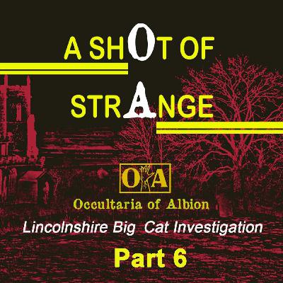 A Shot of Strange: Lincolnshire Big Cat Investigation, Part 6