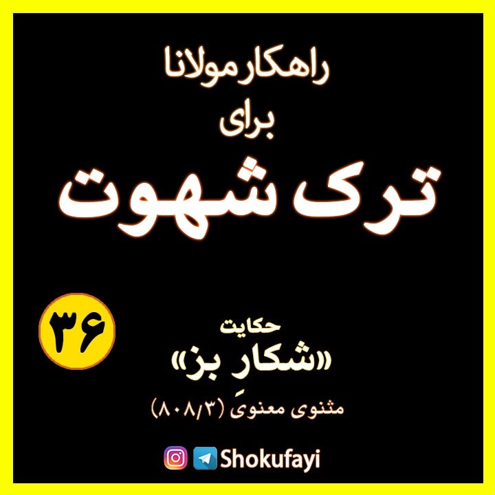 راهکار مولانا برای ترک شهوت