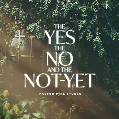 The Yes, The No & The Not-Yet