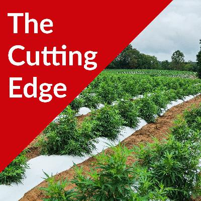 Episode #48: Field Notes, UW Hemp Research Updates