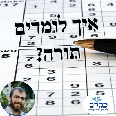 איך לומדים תורה?
