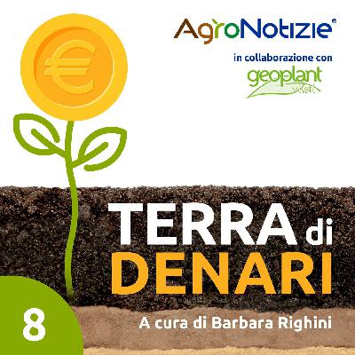 La scelta e la svolta