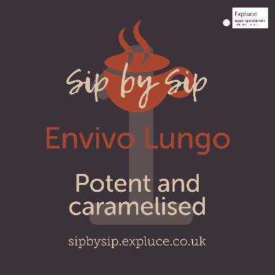 Cup 1, Envivo Lungo: Potent and caramelised