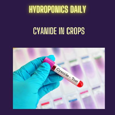 Cyanide: The Hidden Poison in Almonds, Apples and Bamboo