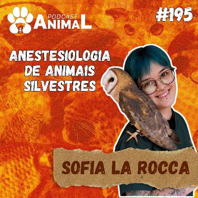 Podcast Animal 195 - Anestesiologia de animais silvestres com Sofia La Rocca