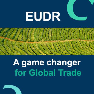 Deforestation: is EUDR a game changer for businesses and global trade? Deforestation: is EUDR a game changer for businesses and global trade?