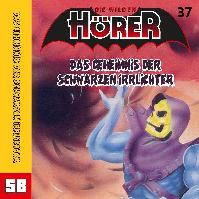 Das Geheimnis der schwarzen Irrlichter 37 Masters of the Universe