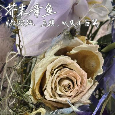 482.猫狗、乌鸦,以及小白鼠 482.猫狗、乌鸦,以及小白鼠