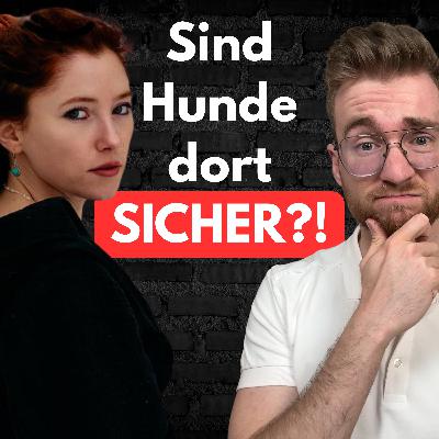 #15 Hundepension?! Was passiert dort wirklich mit deinem Hund?