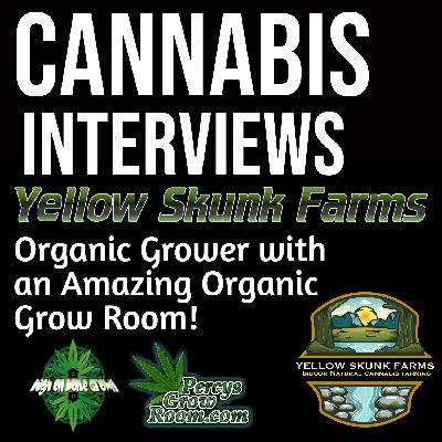 Yellow Skunk Farms! An Organic Cannabis Grower with an Amazing Indoor Grow Setup!