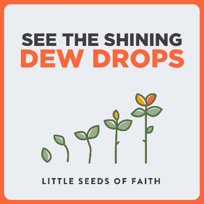 See the Shining Dew Drops