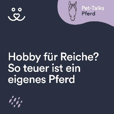 Hobby für Reiche? So viel kostet ein Pferd