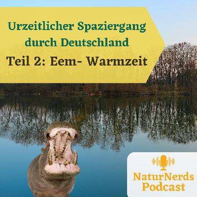 Urzeitlicher Spaziergang durch Deutschland Teil 2: Die Eem-Warmzeit