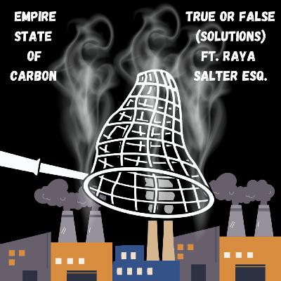 Inside The Fight to Shut Down NY's Power Plants (ft. Raya Salter from EJLPC)