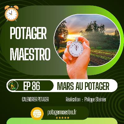 Que faire au potager en mars : semis, sol et plantations 🌱