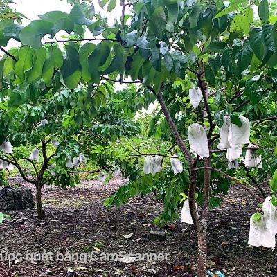 Tiêu điểm - Đảm bảo hoàn thành mục tiêu quốc gia giảm nghèo bền vững với mô hình chính quyền địa phương 2 cấp