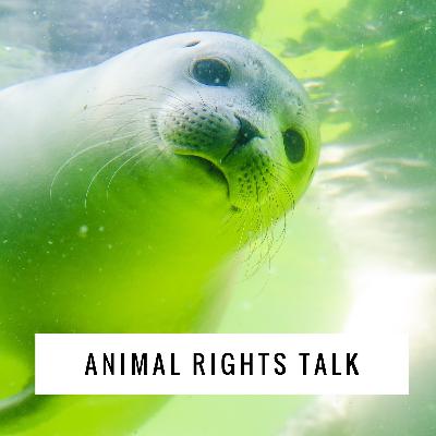 Animal Rights Talk