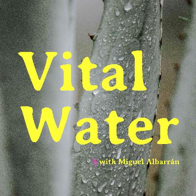 Vital Water