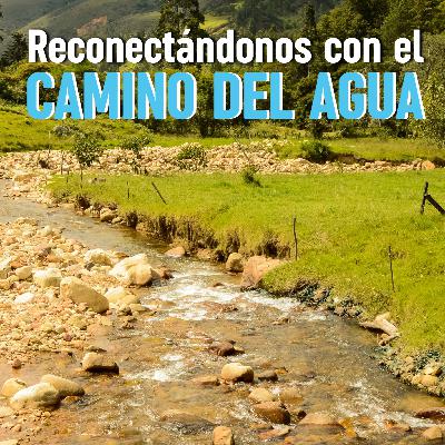 Reconectándonos con el camino del agua: Sofía y Graciela