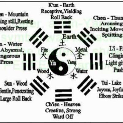 Episode 5, Video interview with Dr Suzanne Friedman Episode 5, Video interview with Dr Suzanne Friedman