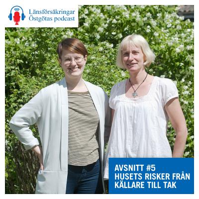 #5 Husets risker från källare till tak