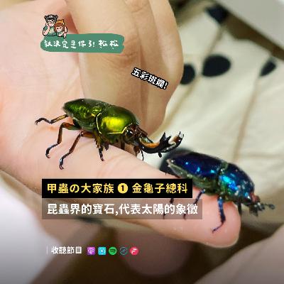 EP116 甲蟲 🪲 昆蟲界的五彩寶石，代表太陽的象徵 — 金龜子總科篇