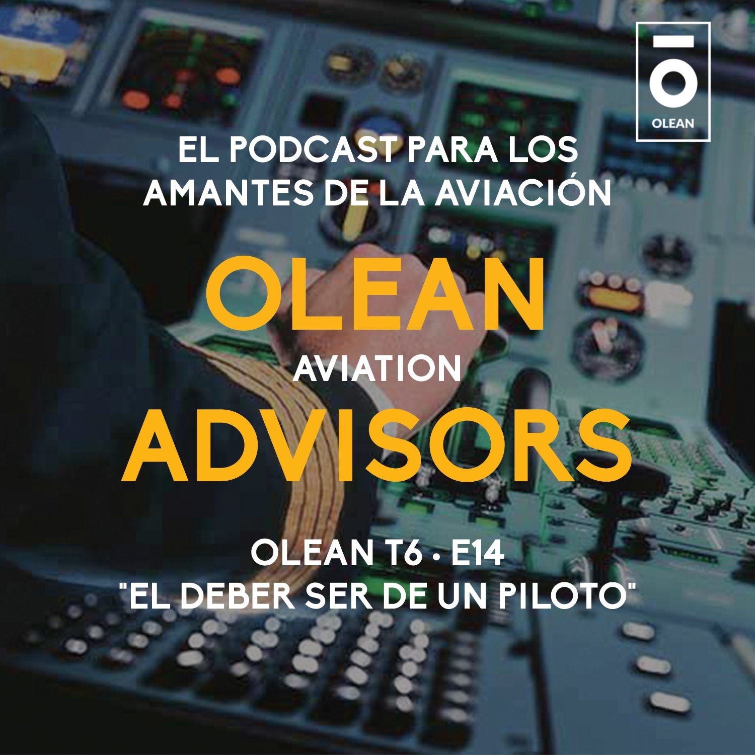 T6 · E14 - El deber ser de un piloto episode artwork