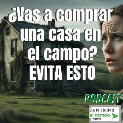 Vas a perder dinero si compras una casa en el campo (a menos que tengas en cuenta esto)