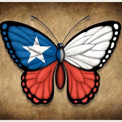 Mariposas Chilenas Ep5: Hellmuth C. Stuven Mariposas Chilenas Ep5: Hellmuth C. Stuven