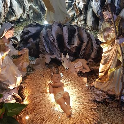 Homilia do dia 27/12, Festa da Sagrada Família. Homilia do dia 27/12, Festa da Sagrada Família.