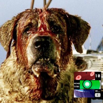 6x09 10 Minutitos de Cujo - Verano de Stephen King Vol.2 6x09 10 Minutitos de Cujo - Verano de Stephen King Vol.2