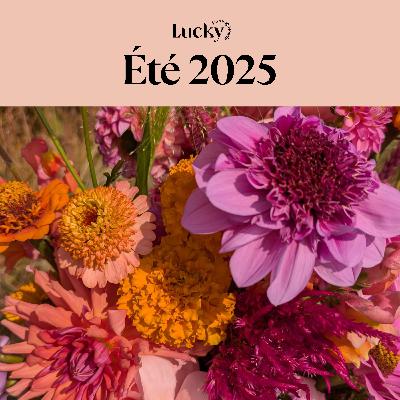 Ep.7 : L'été 2025 : ce que la saison m’a appris sur ce nouveau terrain (et ce que je ferai différemment en 2026)