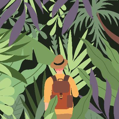 How Nature Heals Us How Nature Heals Us