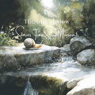 The Gift of Slow | A Gentle Story About Patience The Gift of Slow | A Gentle Story About Patience
