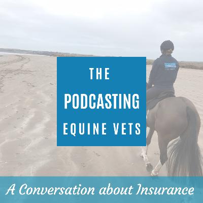 A Conversation About Horse Insurance
