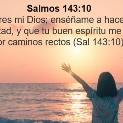 Desechado por hacer las cosas a su manera Desechado por hacer las cosas a su manera