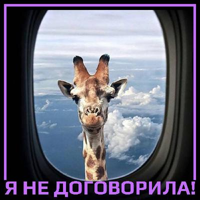 О мужских купальниках, красной дорожке в Каннах и музыкальных предпочтениях