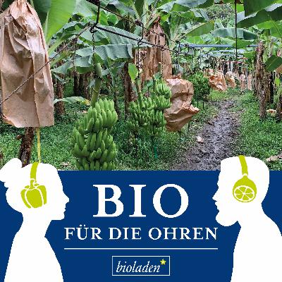 Diese Banane FAIRändert die Welt: in Kolumbien (3/3)