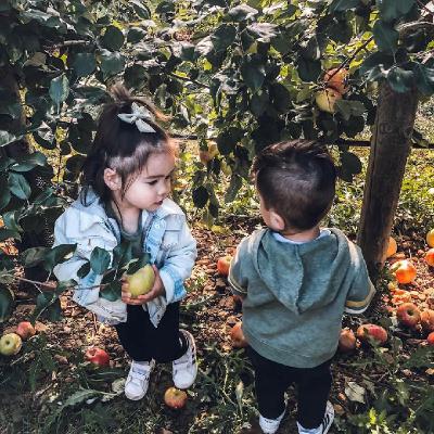 Episode 51: Sacrifice Episode 51: Sacrifice