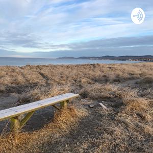 Vad livet lärt oss om sömn och drömmar.